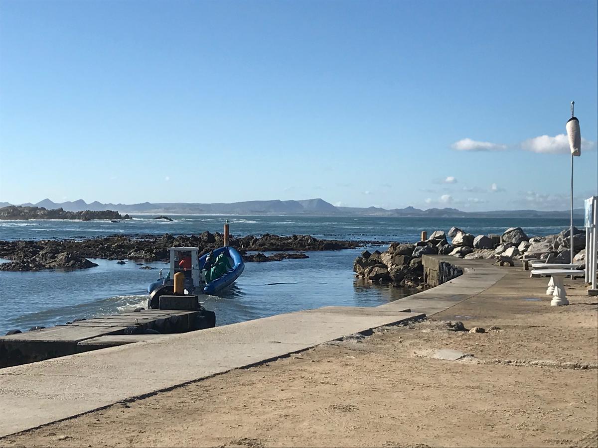 Fairview Accommodation Gansbaai Esterno foto